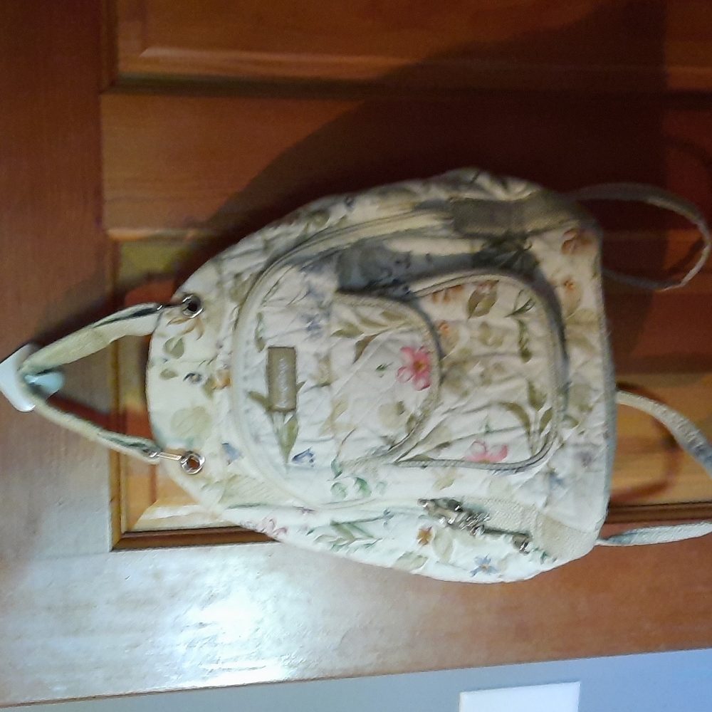 Backpack/ purse